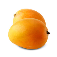 fresh Indian organic ripe yellow orange mango fruit isolated, known in India various name as totapuri, kesar, amrapali or alphonso mango, cutout in transparent background, png format