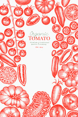Hand Drawn Tomato Illustration. Retro Vegetable Vector Design Template. Old School Farm Food.