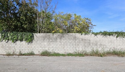 Grunge cinder block wall with ivy on top and trees and blue sky on behind. Road in front.  Background for copy space