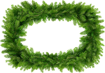 Festive green fir branch border creates joyful natural frame for holiday designs