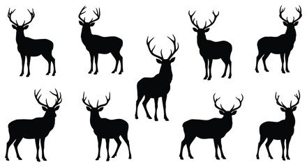 Majestic stag silhouette collection diverse poses majestic forest wildlife animal silhouette herd group silhouette