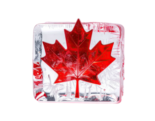 A national symbol of red maple leaf is encapsulated within a block of clear ice