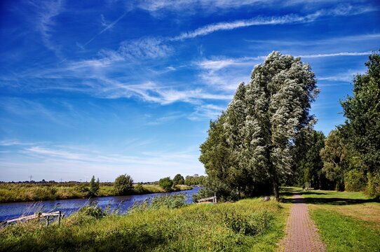Path along the Ems Canal on a summer day, Oldersum, East Frisia, Lower Saxony, Germany