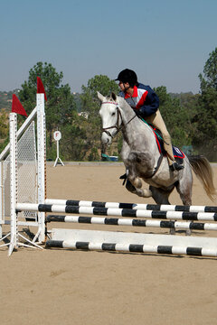 Teenage girl jumping over a hurdle at a showjumping event, Johannesburg, Gauteng, South Africa