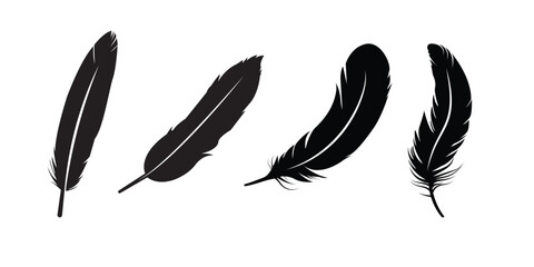 set of feather silhouette vector  . A set of bird feathers of different shapes, straight, curved and flying. eps 10  © Aquavisionweath6