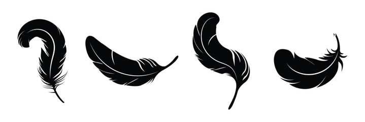 set of feather silhouette vector  . A set of bird feathers of different shapes, straight, curved and flying. eps 10  © Aquavisionweath6