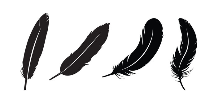 set of feather silhouette vector  . A set of bird feathers of different shapes, straight, curved and flying. eps 10  - Powered by Adobe