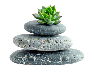 Fototapeta premium Stacked, smooth grey stones with a succulent on top, against a black background
