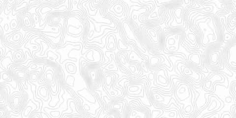 Black and white lines seamless Topographic map patterns, topography line map. Vintage outdoors style. The stylized height of the topographic map contour in lines and contours isolated on transparent.	