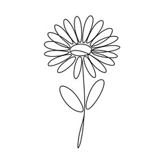 Fototapeta premium Elegant Continuous Line Art Drawing of a Daisy-like Flower, Celebrating Minimalist Floral Beauty on a Pristine White Background