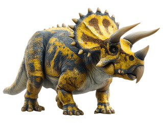 Fototapeta premium A vibrant yellow and dark blue Triceratops dinosaur stands proudly against a clean white backdrop showcasing its horns and bony frill.