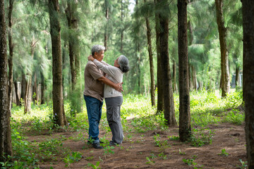 A joyful elderly couple stands together outside, celebrating retirement with a romantic bond and caring relationship. Their senior age brings wisdom as they keep exploring life through love and travel