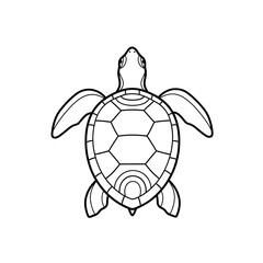 Fototapeta premium turtle vector illustration