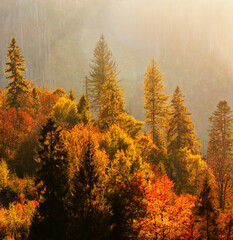 spectacular autumn morning landscape, wonderful nature scene, Carpathian mountains, Lviv region, Ukraine, Europe