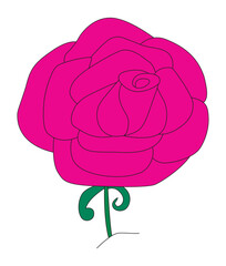 The Rose Dancing in Morning Light