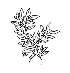 Black and white vector of a decorative botanical branch with leaves and berries, minimalist line art, continuous clean lines, asymmetrical design on transparent background
