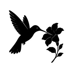 Hummingbird Silhouette Flying Bird Drinking Nectar from Flower Vector Illustration
