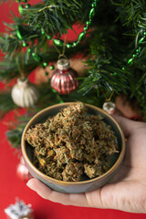 Dry medical marijuana buds in a ceramic saucer in a woman's hand against the backdrop of a festively decorated Christmas tree