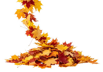 A cascade of colorful autumn maple leaves falling and piling up, isolated on transparent background, representing the transition of seasons and the beauty of natures decay