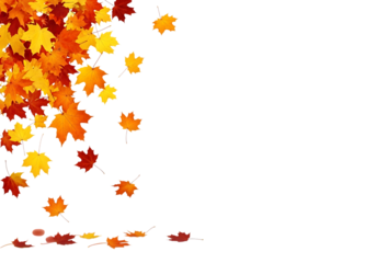 A corner of colorful autumn maple leaves in red, orange, and yellow, with some leaves falling, isolated on transparent background