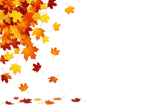 A corner of colorful autumn maple leaves in red, orange, and yellow, with some leaves falling, isolated on transparent background