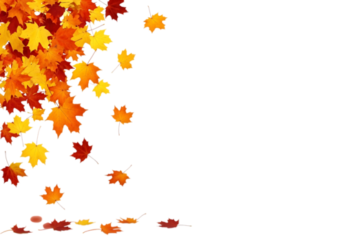 A corner of colorful autumn maple leaves in red, orange, and yellow, with some leaves falling, isolated on transparent background