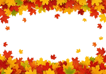 A decorative border made of colorful autumn maple leaves in red, orange, and yellow, with a white space in the middle, isolated on transparent background