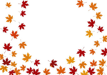 Obraz premium Scattered autumn maple leaves in red, orange, and yellow, falling and swirling, isolated on transparent background