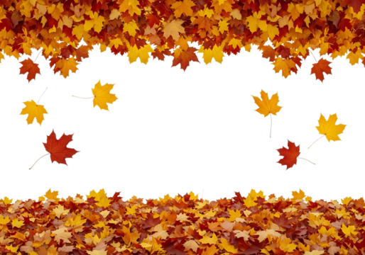 A border of autumn maple leaves at the top and bottom, with scattered falling leaves in the middle, isolated on transparent background