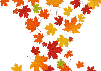 A cascade of colorful autumn maple leaves in red, orange, yellow, and green falling and swirling against a clean transparent background, isolated on transparent background