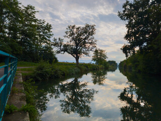 Début de soirée sur le Canal de Colmar, CEA, Alsace, Grand Est, France