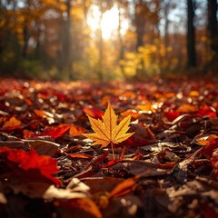 Feuille d'automne au sol.