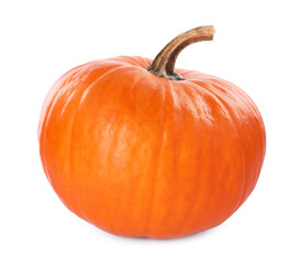 One whole ripe pumpkin isolated on white