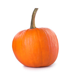 One whole ripe pumpkin isolated on white