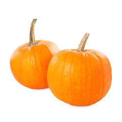 Two whole ripe pumpkins isolated on white