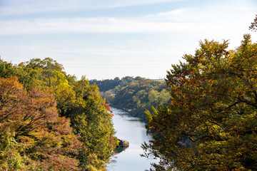 秋の紅葉に包まれた群馬県を流れる渡良瀬川の美しい流れ