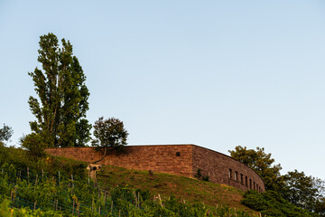 Nécropole nationale de Sigolsheim : Hommage à la Première Armée française à Sigolsheim. CEA, Grand Est, Alsace, France