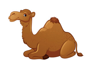 Vector cartoon illustration of a cute dromedary camel on a white background, perfect for desert or travel concepts