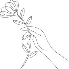  a hand holding a flower line art