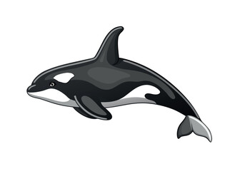 A cartoon dolphin mammal swimming underwater isolated on a white background with an illustration  