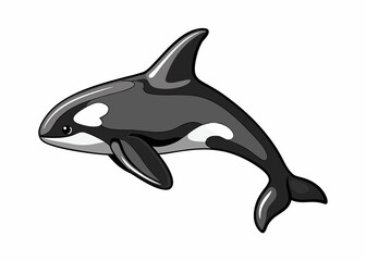  illustration of a dolphin isolated on white, swimming and jumping from the ocean water