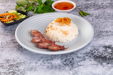 Tasty baby swuid with rice