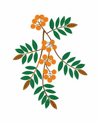 Autumn branch of rowan tree with orange berries, leaves, and foliage vector illustration