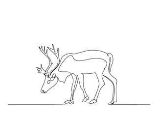 Reindeer in single outline illustration. Continuous line art drawing of wild reindeer. Editable stroke.