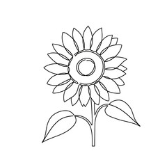 Sunflower one line art illustration, minimalist floral drawing for coloring book page, isolated on transparent background.