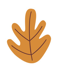 Obraz premium Minimalist vector of a stylized oak leaf in warm brown tones with five lobes and prominent veins, clean flat design, modern botanical illustration on transparent background