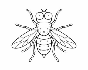 A macro closeup of two bees and a fly with wings on a white background