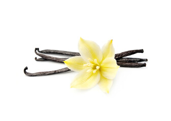 Vanilla stick with vanilla flower