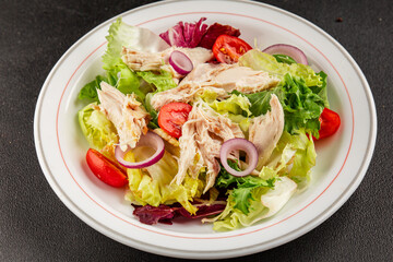 Salad chicken meat and vegetables tomato, green leaf lettuce, onion natural product tasty snack fresh delicious gourmet food background on the table rustic top view copy space keto and paleo diet