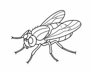 Isolated vector illustration of a bee on a white background featuring its wing, antenna, and black and brown detail as a stylized insect